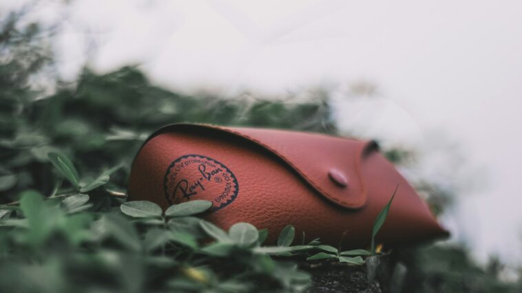 red ray-ban eyeglass case on leafed plants during daytime