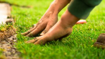 a close up of a person's feet on the grass