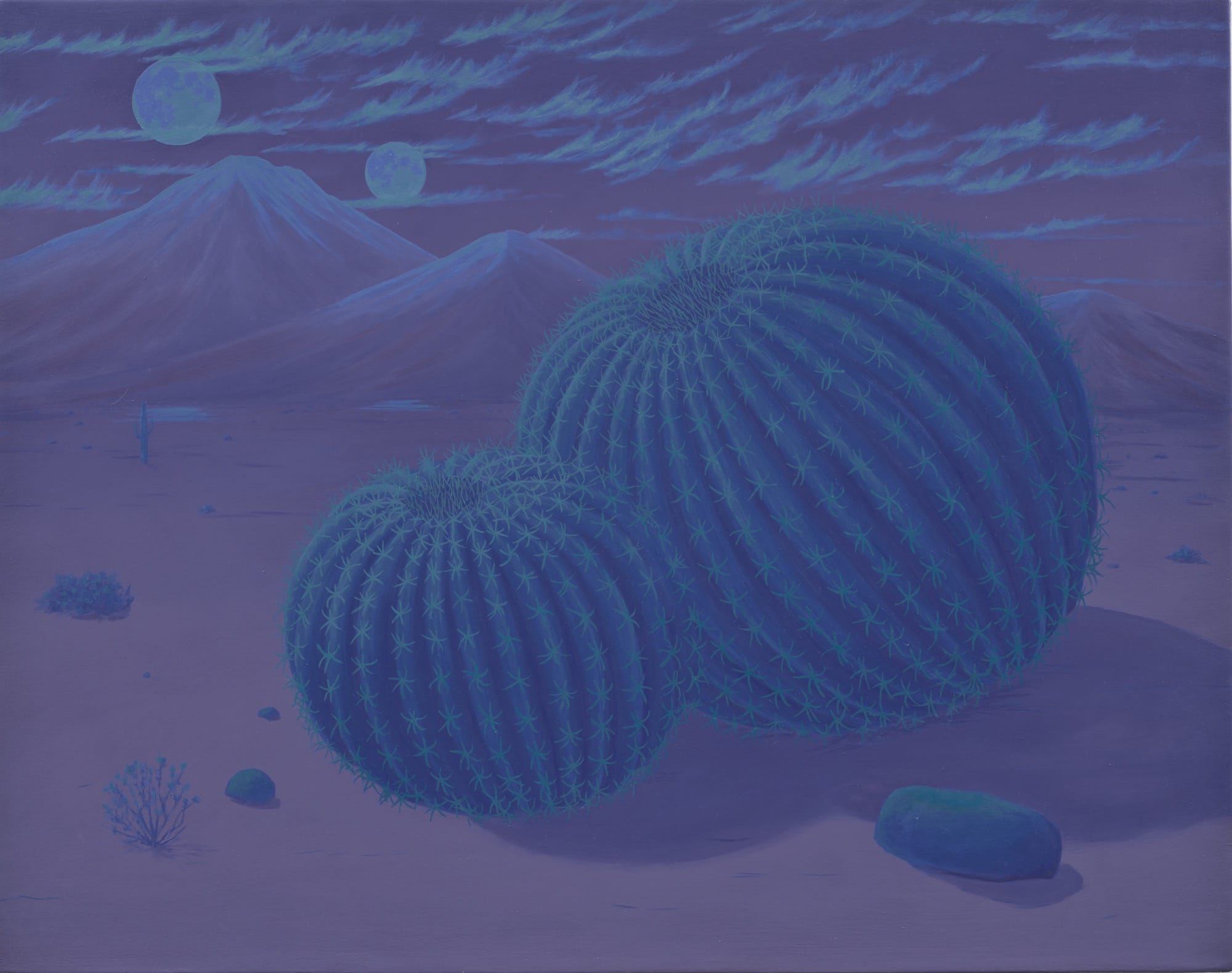 “en orbita” (2025)