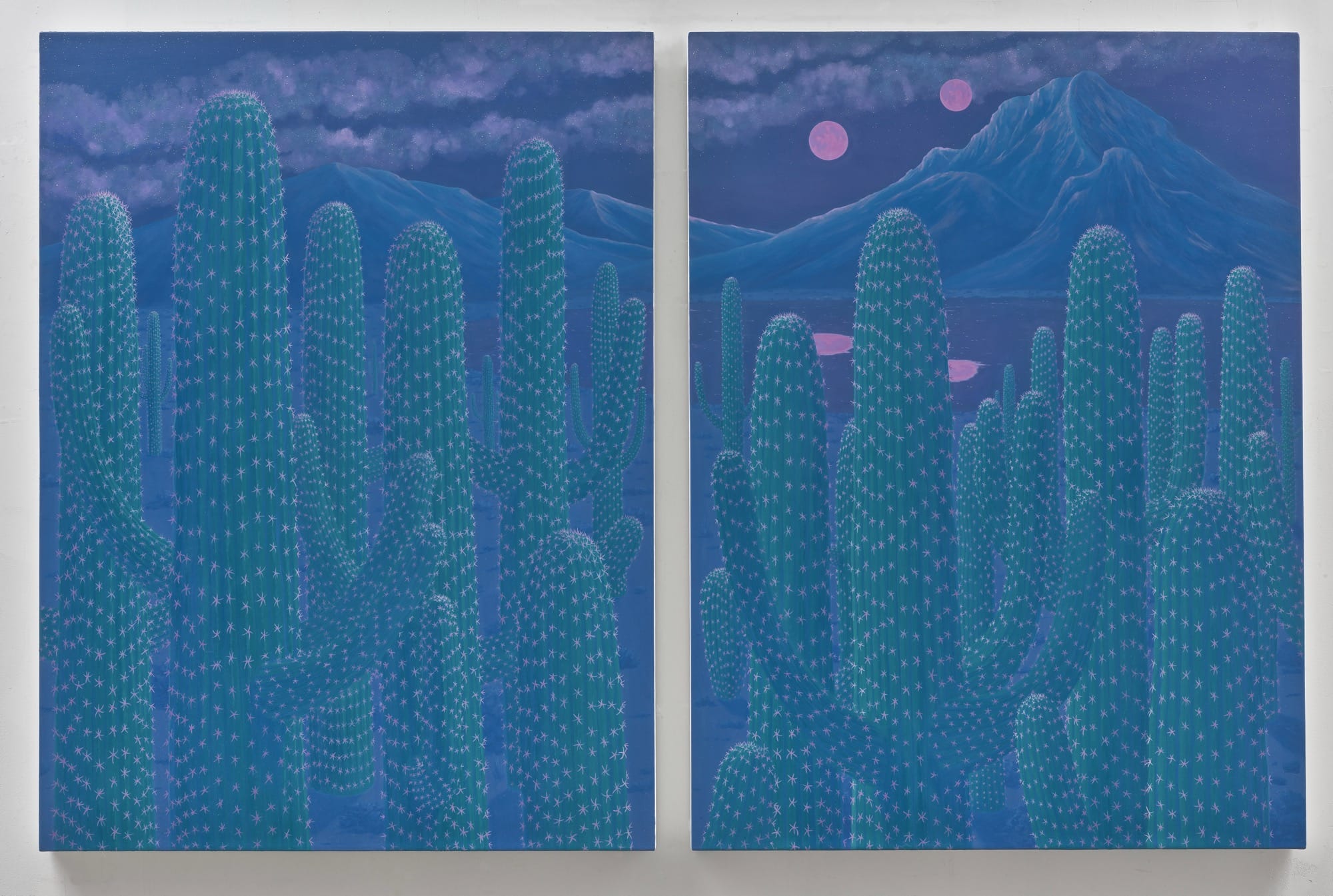 a diptych of two cacti paintings
“al otro lado de texcoco” (2025)