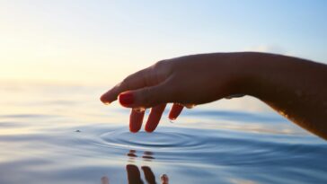 person about to touch the calm water