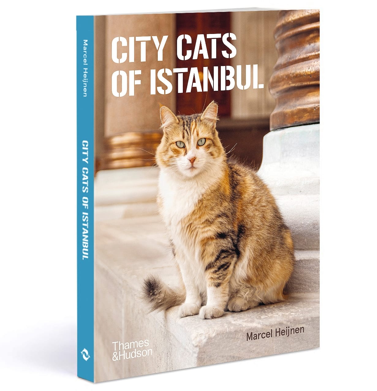 Marcel Heijnen Captures Istanbul’s Coolest Cats Lounging Through Everyday City Life