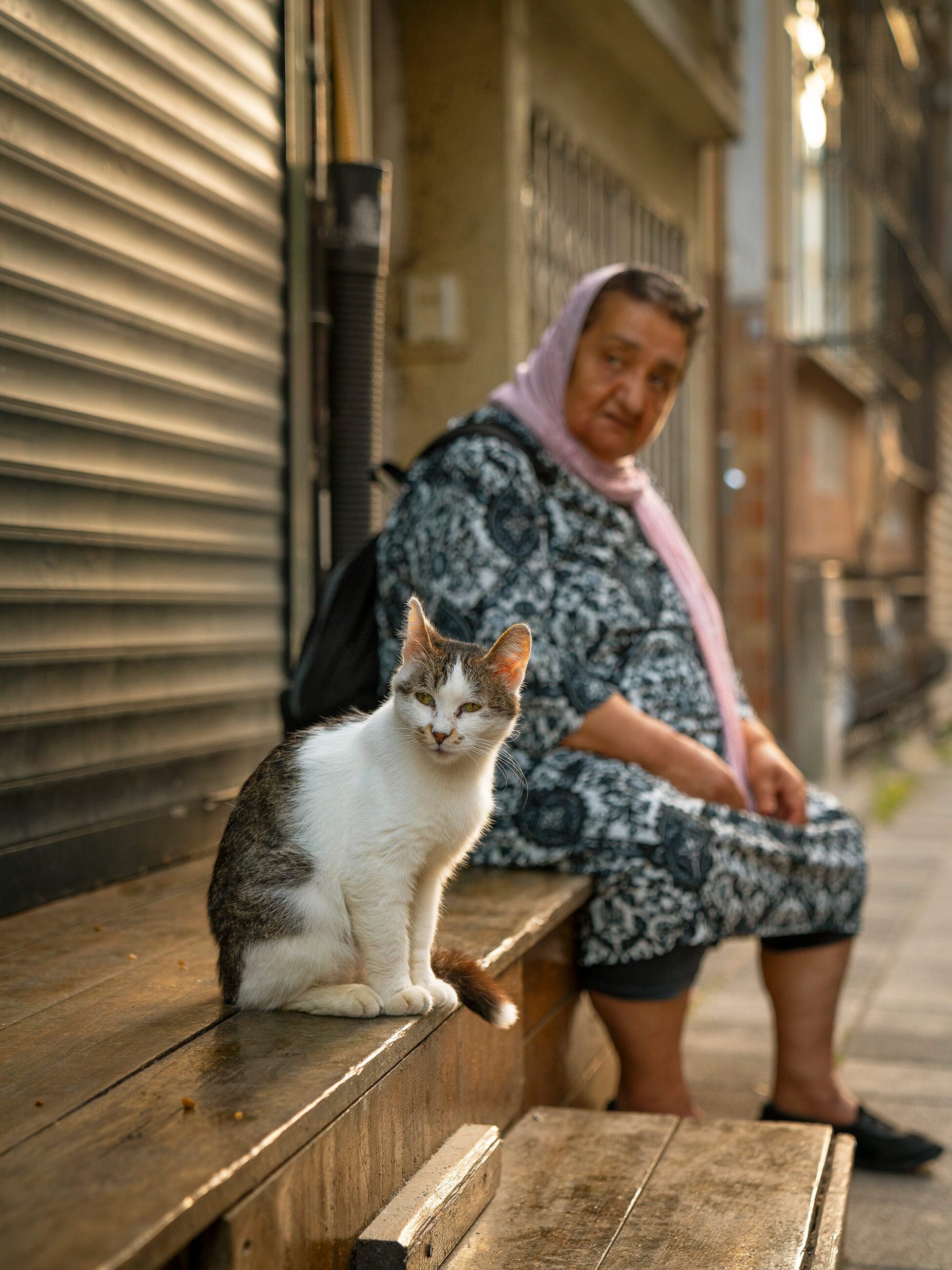 Marcel Heijnen Captures Istanbul’s Coolest Cats Lounging Through Everyday City Life
