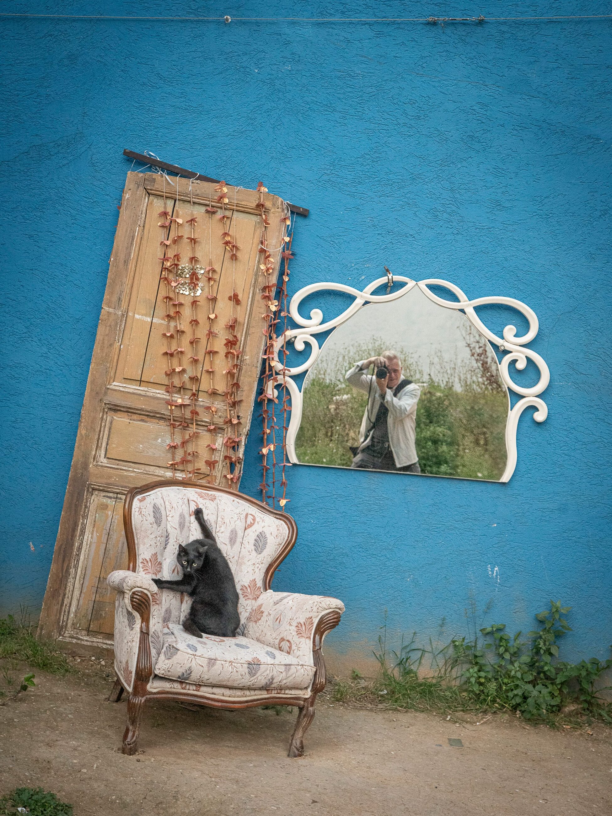 Marcel Heijnen Captures Istanbul’s Coolest Cats Lounging Through Everyday City Life
