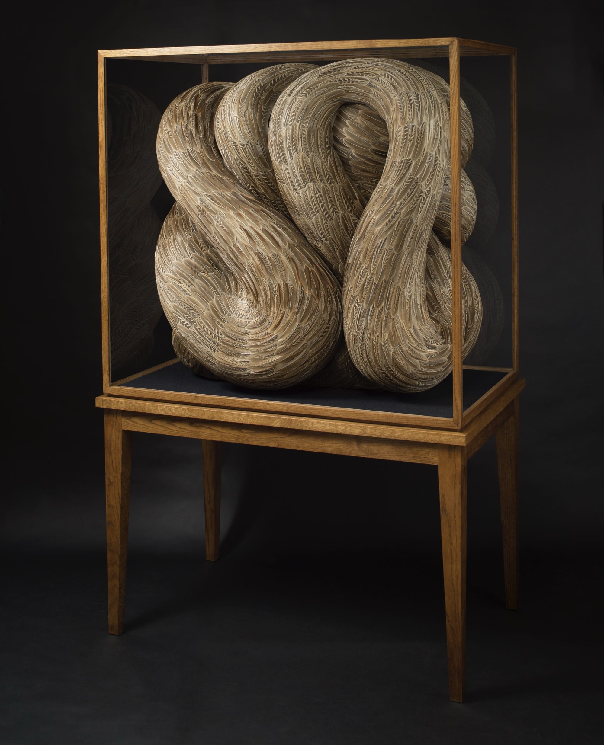 Kate MccGwire’s ‘Quiver’ Unfolds Two Decades of Hypnotic Feather Art
