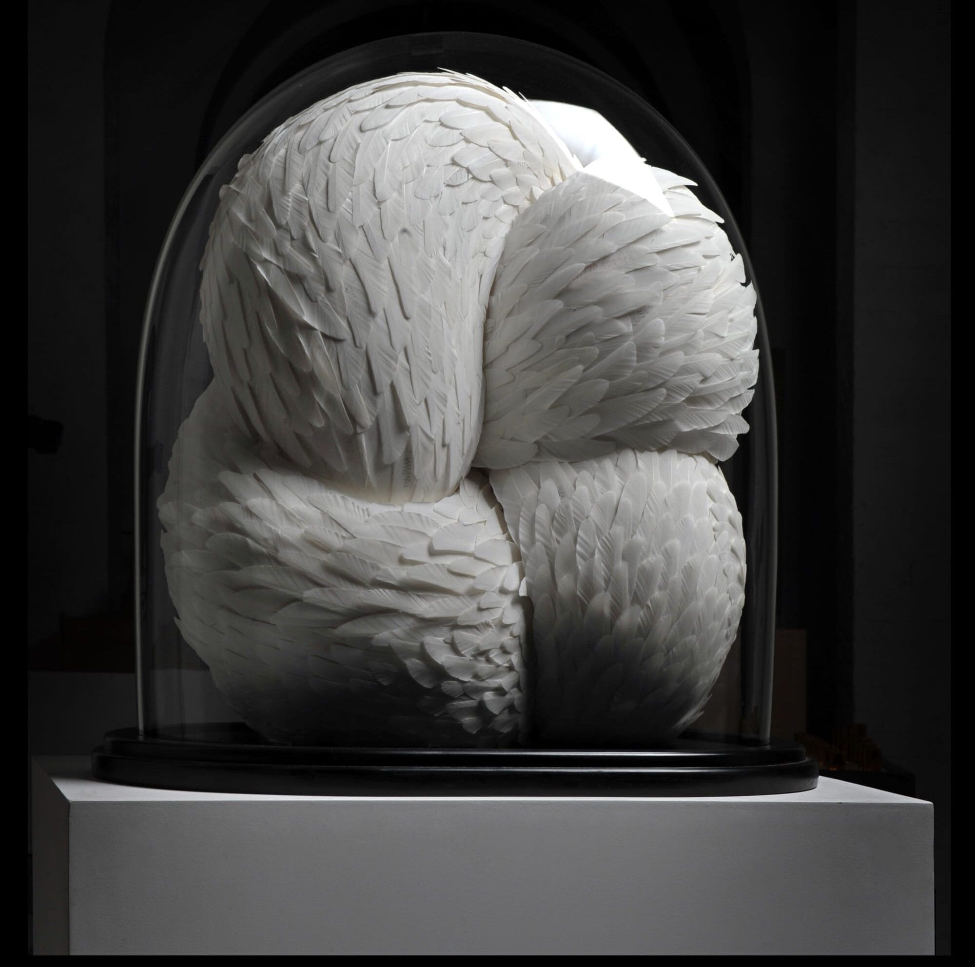 Kate MccGwire’s ‘Quiver’ Unfolds Two Decades of Hypnotic Feather Art