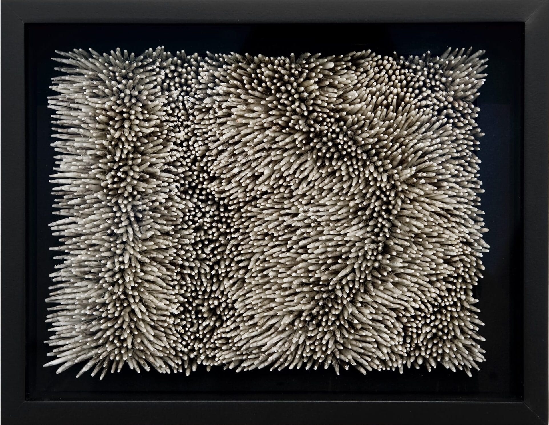 Kate MccGwire’s ‘Quiver’ Unfolds Two Decades of Hypnotic Feather Art